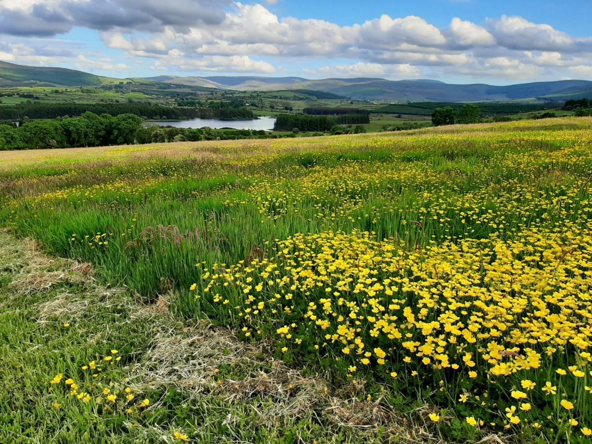 Abhainn Ri Cottages Blessington Luaran gambar